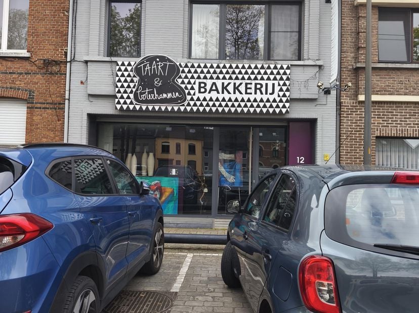 Bien professionnel à vendre
                    à 9200 Baasrode