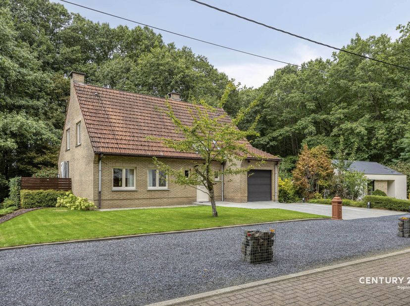 Huis te koop in Beukenlaan 21A,
                    3110 Rotselaar