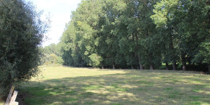 Grond te koop in neckebroekveld 1, 9620 Grotenberge