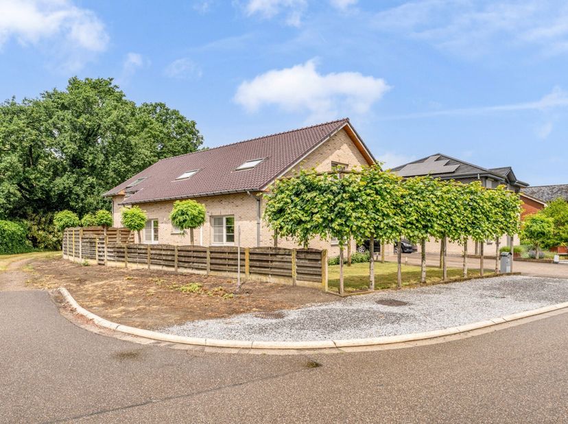 Maison à vendre
                    à 3640 Molenbeersel