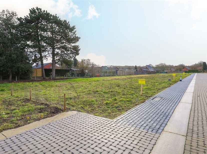 Terrain à vendre
                    à 3550 Zolder