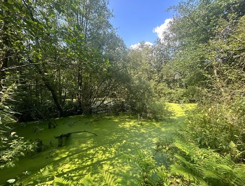                                         Recreatiegrond te koop in Geel, € 49.000

