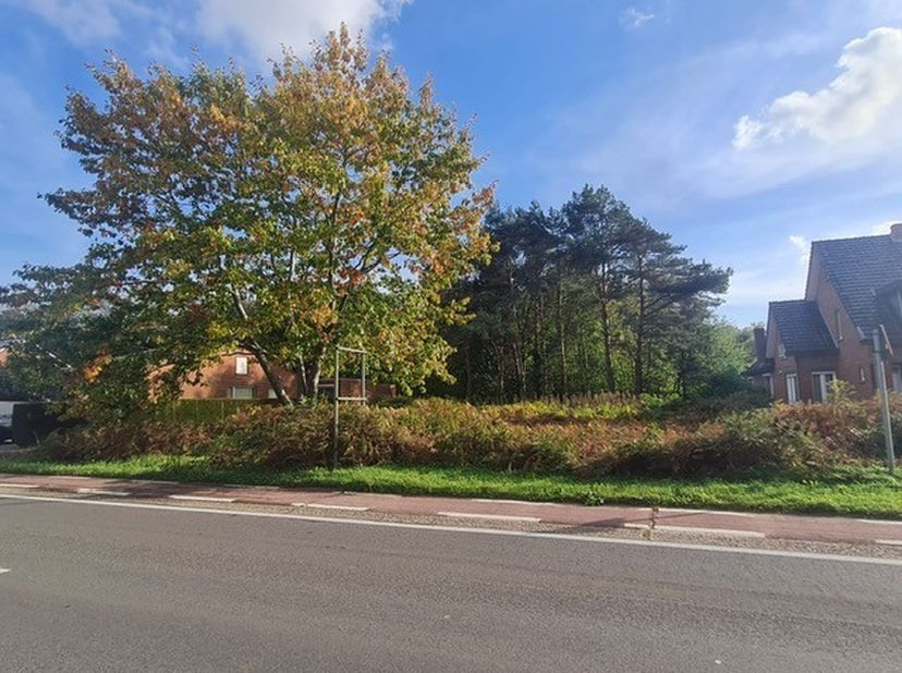 Grond te koop in Zuidstraat 152,
                    3580 Beringen