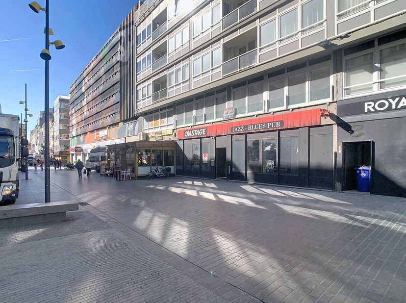 Bien professionnel à vendre à Vlaanderenstraat 60,
                    8400 Oostende