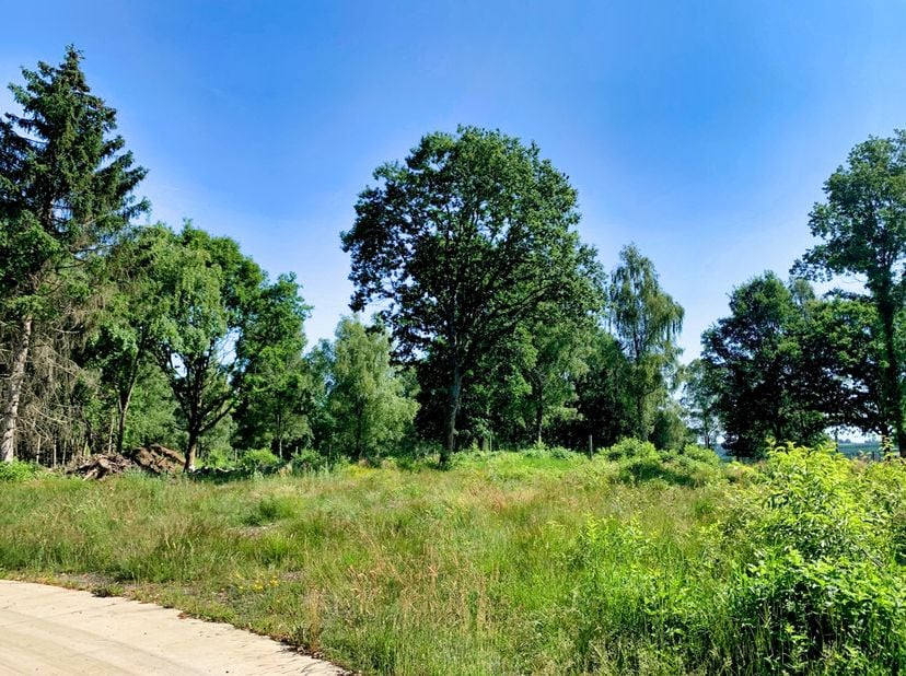 Bouwterrein met bomen in recreatiezone, deel uitmakend van het standingvolle Residentieel Park les Onays, volledig uitgerust <br />
INCLUSIEF BOUWVERG
