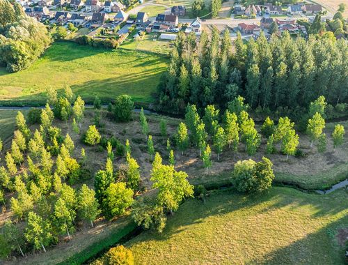                                         Bos te koop in Stevoort, € 95.000

