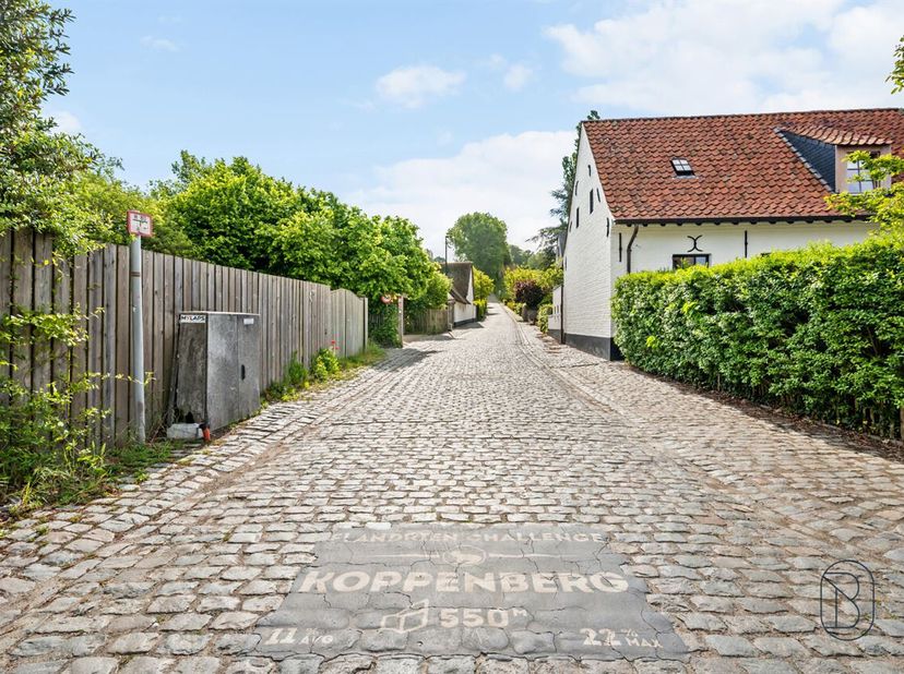 Uniek gelegen bouwgrond (af te breken woning - heropbouw aan 6% BTW mogelijk!) van 4000m2, aan de voet van de Koppenberg. <br />
Prachtige zichten ron