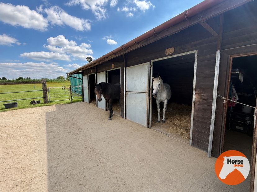 ASSE - Verzorgde paardenaccommodatie op 1,07ha met vergunde stallen<br />
Op een vlot bereikbare locatie in Asse bevindt zich deze verzorgde accommoda