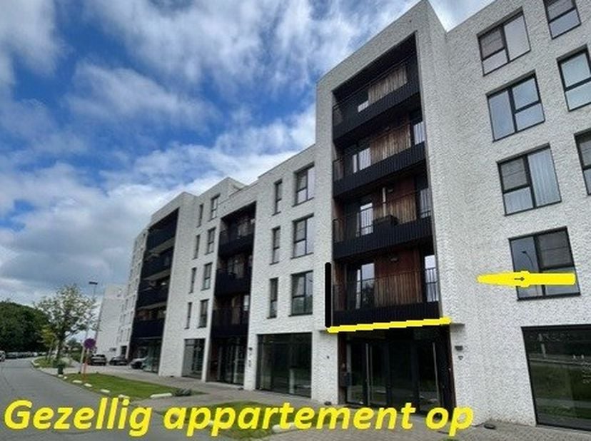 Appartement à louer
                    à 3500 Hasselt
