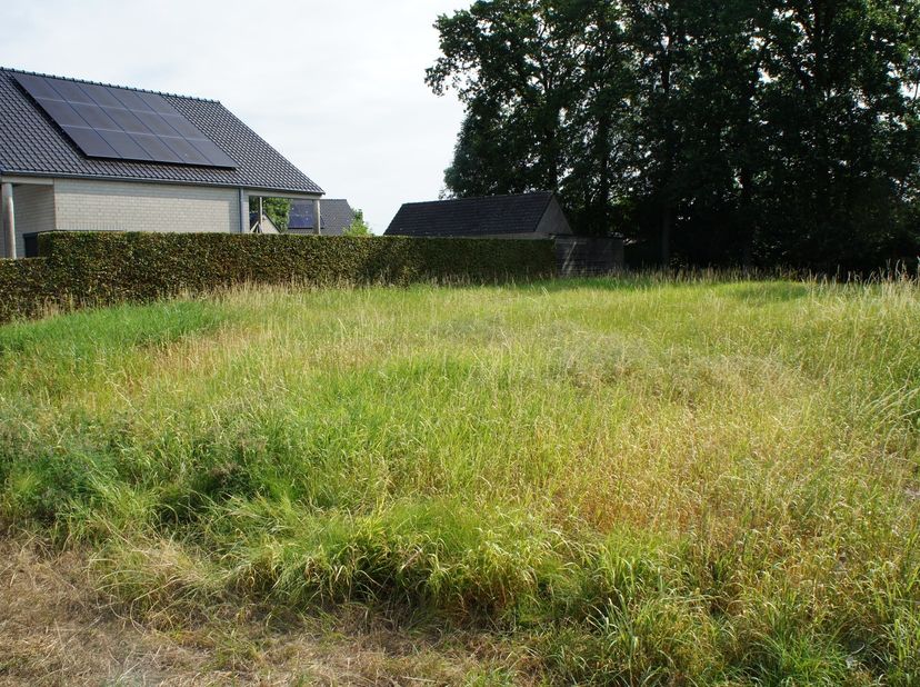 Bouwgrond van 771 m² voor open bebouwing te Oostmalle. <br />
<br />
Deze bouwgrond is geschikt voor het bouwen van een vrijstaande woning. <br />