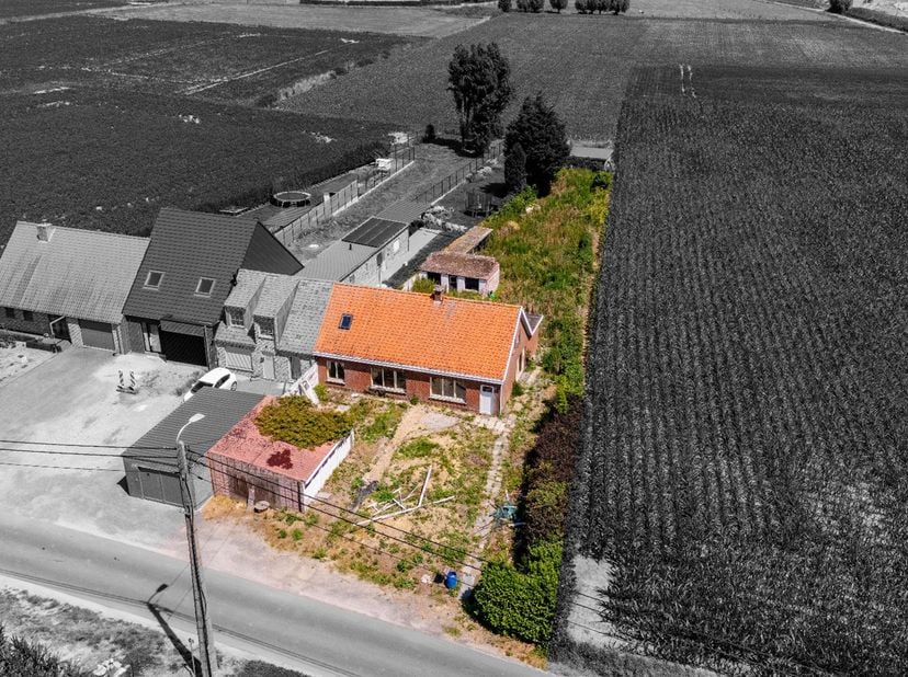 Maison à vendre
                    à 8760 Meulebeke