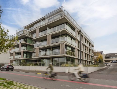                                         Appartement à louer à Harelbeke, € 875

