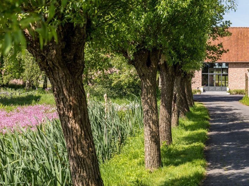 Te koop: unieke hoeve met uitzonderlijk potentieel (B&amp;amp;B, co-housen, combinatie wonen/praktijk, of voor mensen op zoek naar ruimte), midden in het