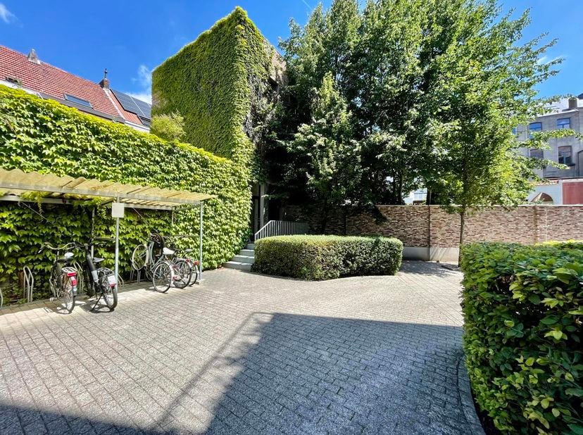 Uniek, instapklaar handelspand in een voormalige school in hartje Mechelen. Het gebouw bestaat uit 3 verdiepingen (3x72 m²) met grote open ruimtes die