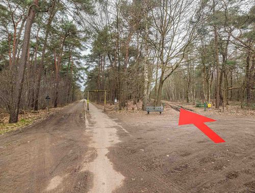                                         Bos te koop in Geel, € 50.000
