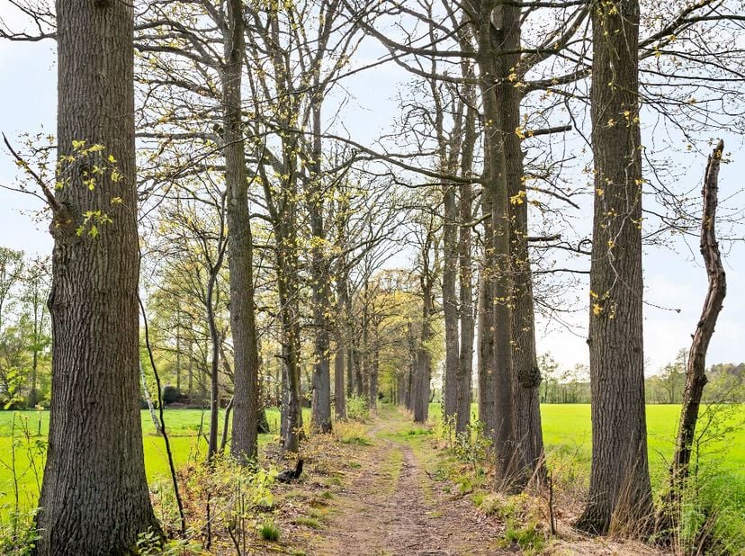 Rustig gelegen bouwgrond in een residentiële verkaveling en met een oppervlakte van 3.585m². Geschikt voor het oprichten van een open bebouwing voor é