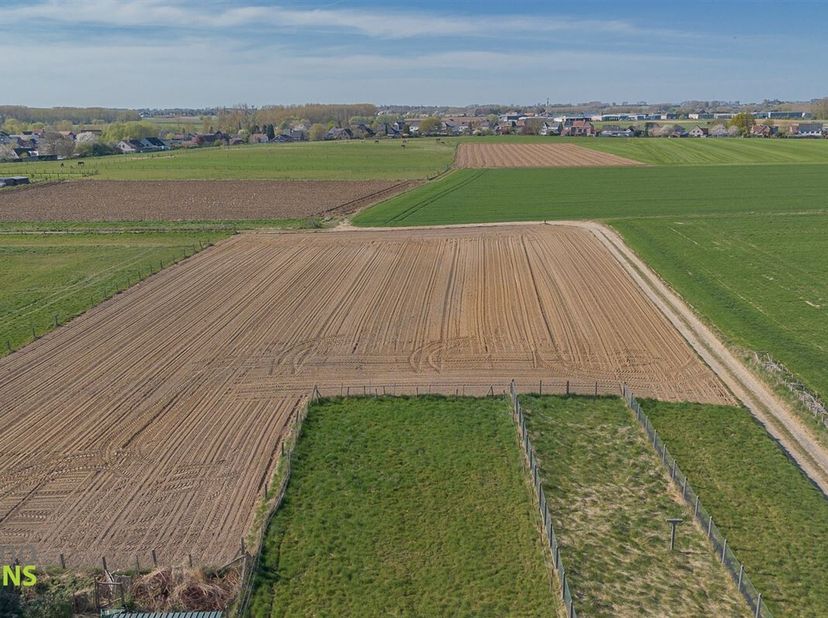 Terrain à vendre
                    à 9400 Appelterre-Eichem