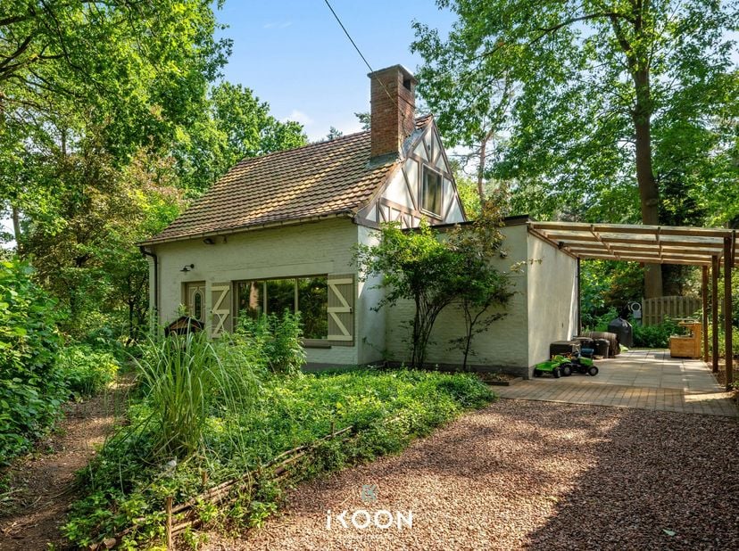 Bezoekdag vindt plaats op woensdag 1 juli tussen 17u00 - 19u00.<br />
! Enkel na voorafgaande afspraak via gilles@ikoon.be !<br />
<br />
Wildertse Du