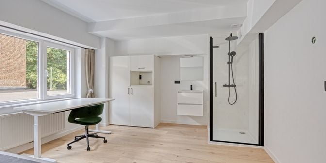 Kot-kamer te koop in Schapenstraat 66 - b bus 0102, 3000 Leuven