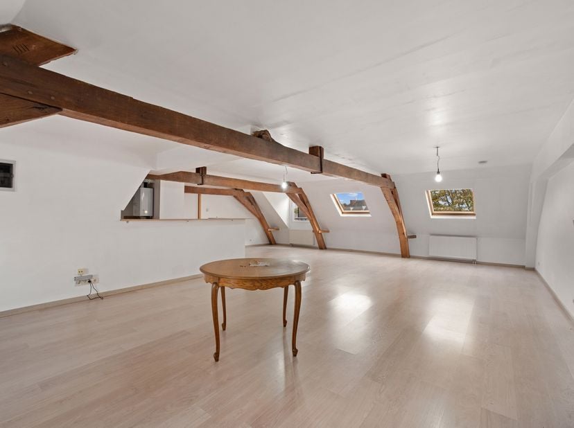Ruim appartement met 3 slaapkamers in een karaktervol gebouw, gelegen in het centrum van Aat.<br />
Indeling: prachtige, lichtrijke woonkamer van 85 m