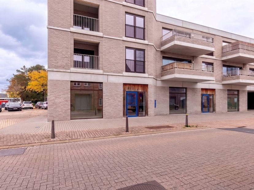 Bien professionnel à vendre
                    à 2440 Geel