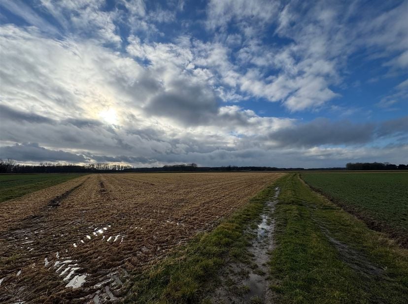 Landbouwgrond op 50 are in Rotselaar<br />
<br />
Net buiten het centrum van Werchter, aan het jaagpad langs de Dijle, vinden we deze landbouwgrond
