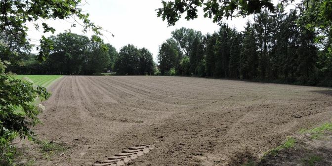 Grond te koop in ter Plaatse "Aen het Kerkeven" ., 3560 Linkhout