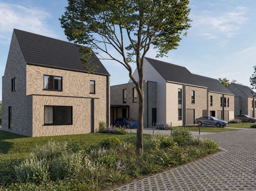 Project te koop in Bergvelden 58,
                    2220 Heist-op-den-Berg