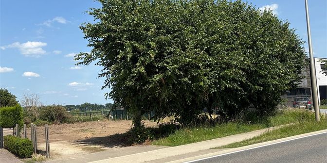 Grond te koop in Opitterkiezel 101, 3960 Opitter