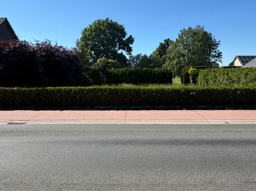 Ruime bouwgrond gelegen op een groene locatie dicht bij diverse invalswegen en een goede verbinding met Pelt, omliggende gemeentes, de Nederlandse gre