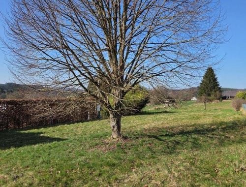                                        Bouwgrond te koop in Herbeumont, € 65.000
