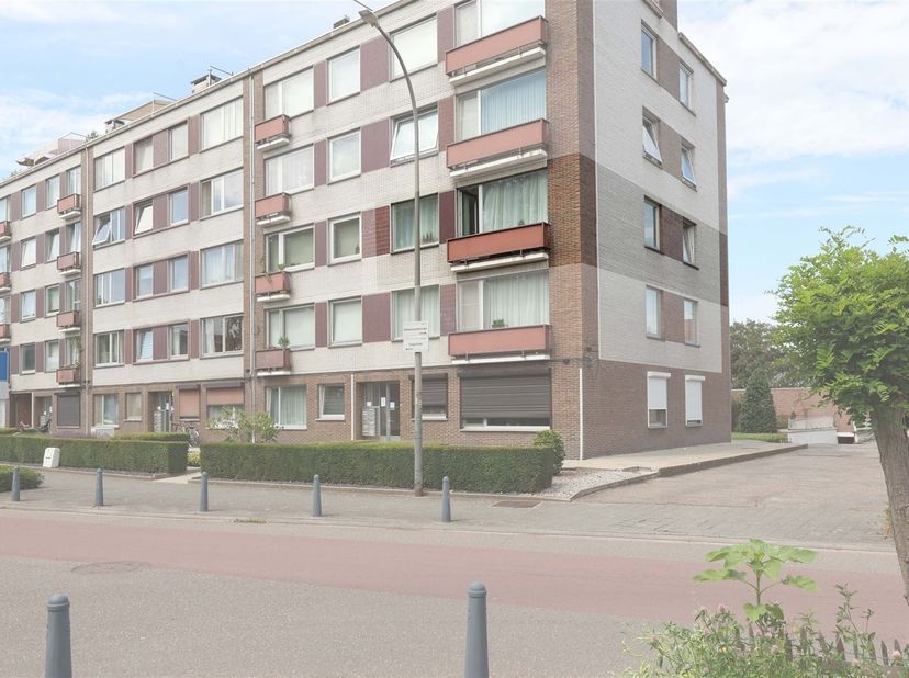 Lichtrijk appartement met 3 slaapkamers én terras op toplocatie<br />
<br />
Omgeving:<br />
+ Rustig gelegen aan het gezellige Sint-Jansplein<br /