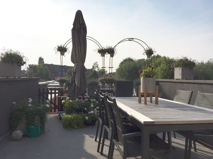 Appartement à louer
                    à 9090 Melle