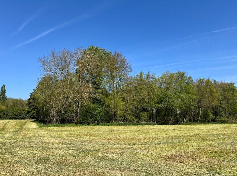 Beau bois d'une superficie de 1 ha 72 a.<br />
Terrain plat, Sol limoneux.<br />
Il est composé d’un vieux taillis simple d’aulnes glutineux et dive