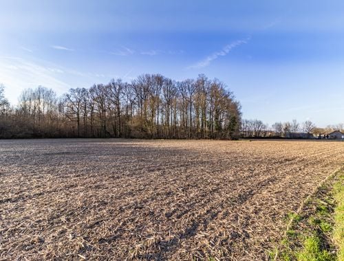                                         Terrain agricole à vendre à Kampenhout, € 25.000
