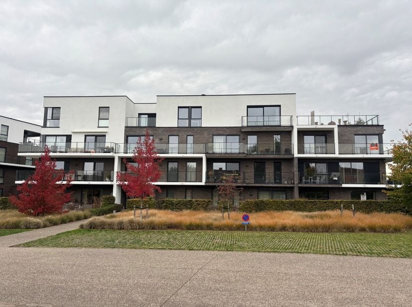 Appartement te huur in Bredestraat 88 bus 0005,
                    9600 Ronse