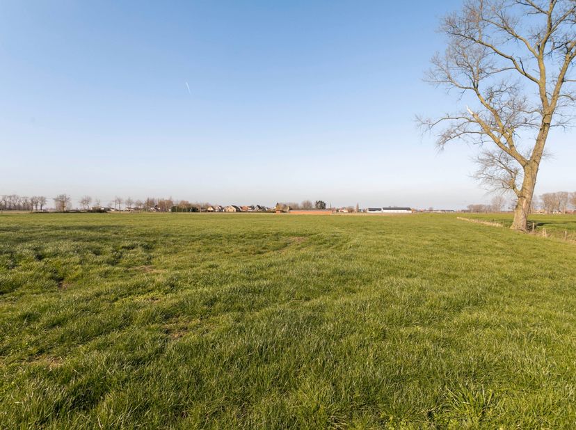 Ter hoogte van de Lappersfortstraat te Leke, nabij Diksmuide, bieden we u dit perceel landbouwgrond (weiland) aan met een exacte oppervlakte van 1ha 0