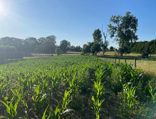                                         Bouwgrond te koop in Hees, € 250.000
