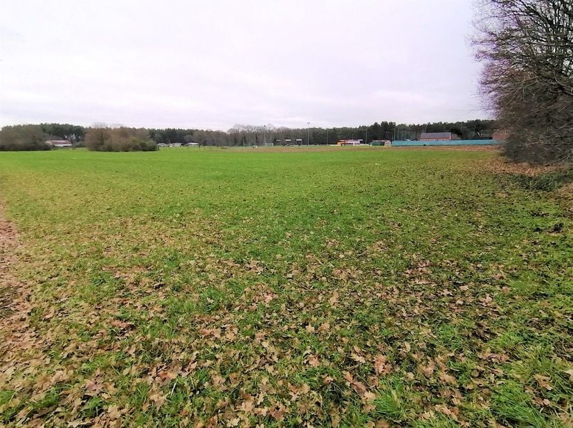 Bent u een dromer een durver of een ondernemer? Dan is dit uw buitenkans! Deze schitterende recreatiegrond ligt in het kloppend hart van de Limburgse