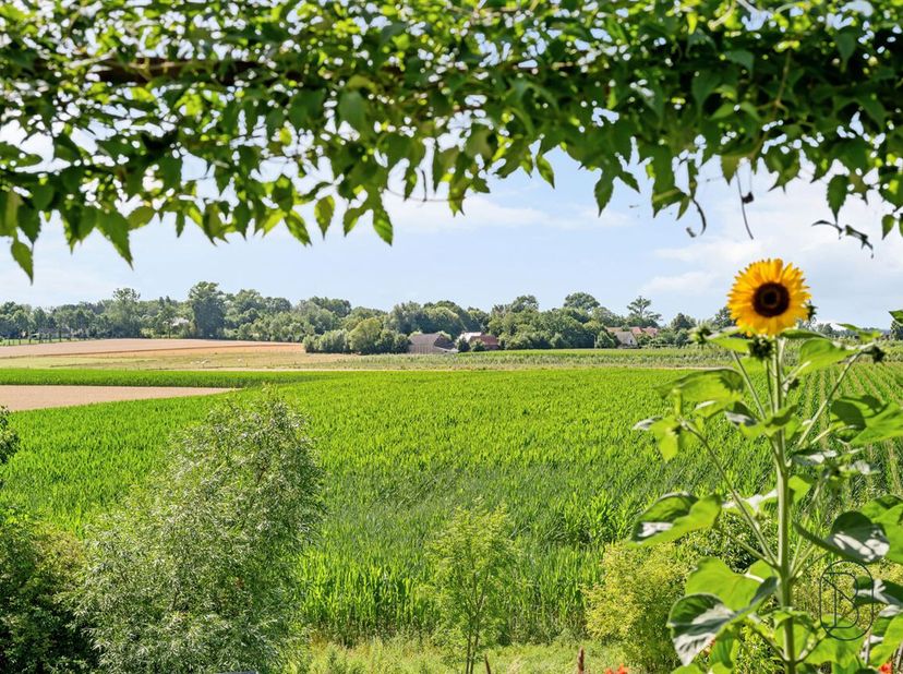 Te koop: unieke eigendom met B&amp;B en privéwoning op topligging in Mater<br />
Op een uitzonderlijk rustige en groene ligging in Mater bevindt zich deze