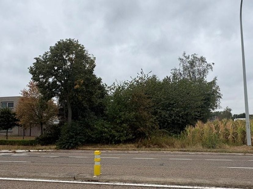 Terrain à vendre
                    à 3650 Elen