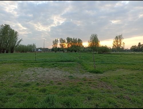                                         Prairie à vendre à Sint-Gillis-Waas, € 129.000
