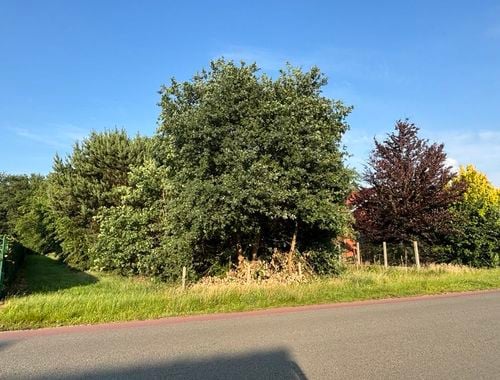                                         Terrain à bâtir à vendre à Zonhoven, € 297.000
