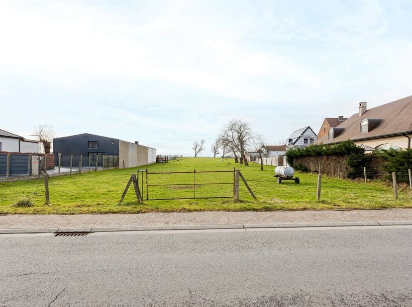 Contactez Pieter Cardoen au 0475 36 12 52  ou à l'adresse pieter@cornelis-goeman.be <br />
Situé à Schendelbeke, une commune de Grammont<br />
- Terra