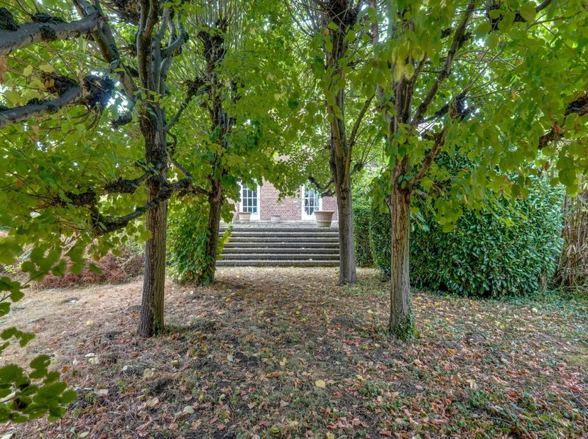 Maison à vendre
                    à 3740 Eigenbilzen