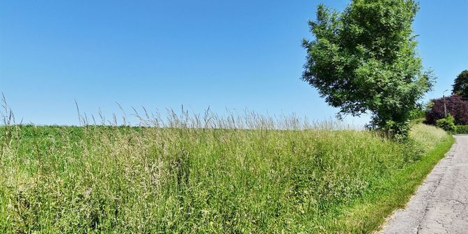 Terrain à vendre à Rue de Somme, 5300 Vezin