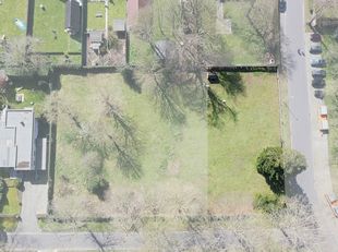 PLOT Image
