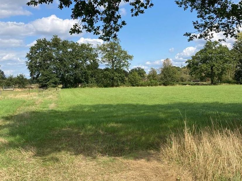Deze bouwgrond is gelegen op 3 minuten van het centrum van Olmen in een zeer rustige buurt.<br />
De bouwgrond is geschikt voor het bouwen van een ope
