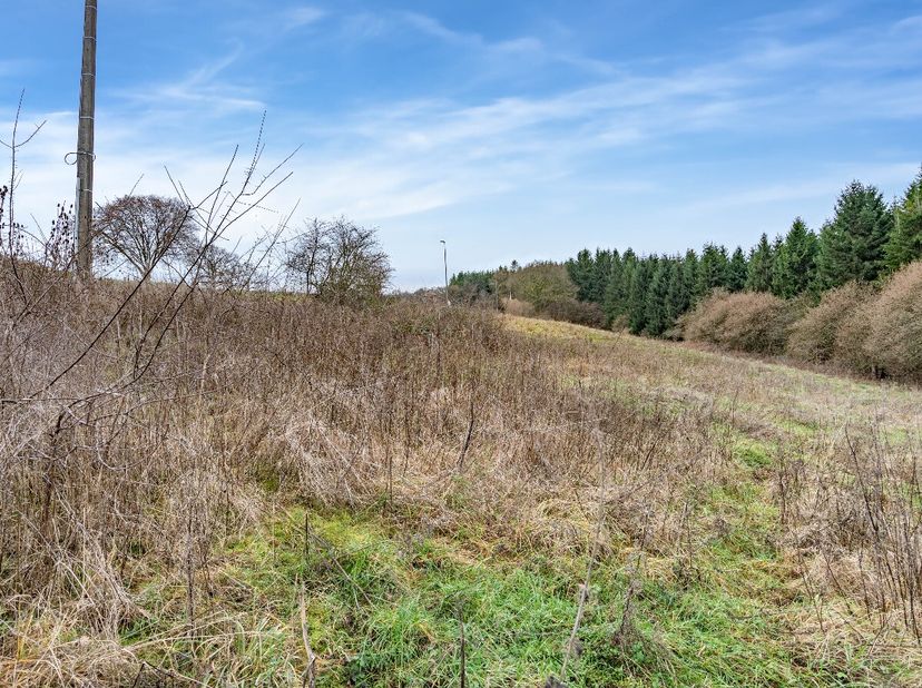 Lagence ERA B-LUX a le plaisir de vous présenter ce magnifique terrain situé à Florêt, dans la commune de Lierneux.Dans une rue calme, sur les hauteur