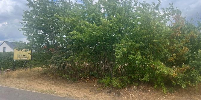 Grond te koop in Veldweg lot 3, 2490 Balen